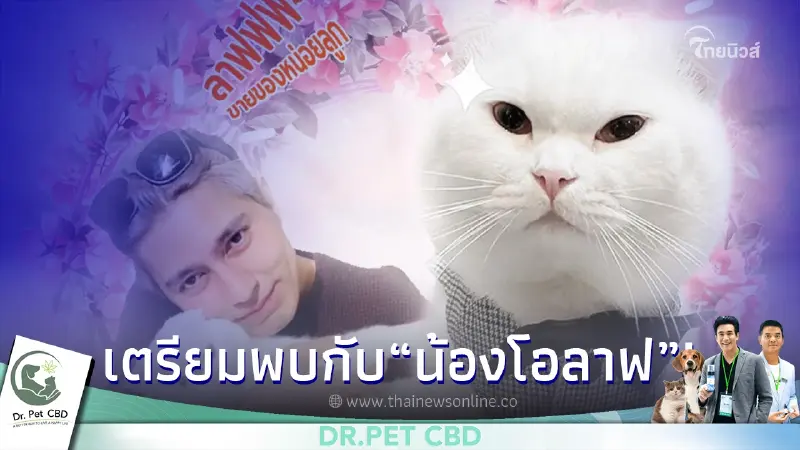ทาสแมวเตรียมตัวพบกับ น้องโอลาฟ และคุณต๋อง วัฒนา ในงาน Pet พาเพลิน Fair 2022 ทาสแมวเตรียมตัวพบกับ น้องโอลาฟ และคุณต๋อง วัฒนา ในงาน Pet พาเพลิน Fair 2022