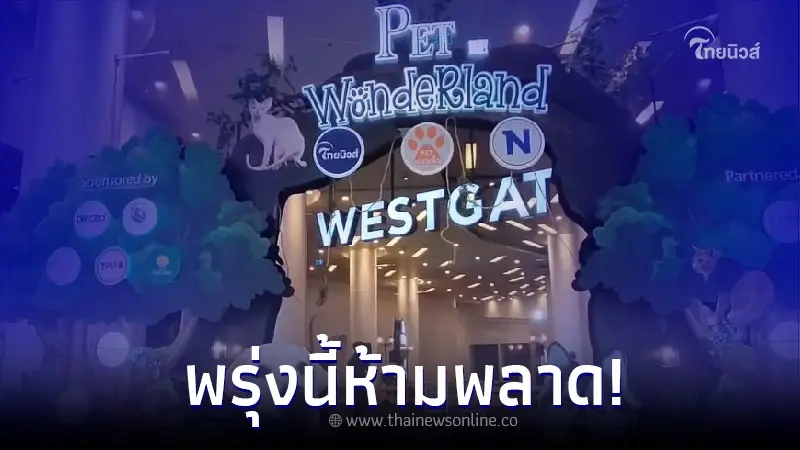 ชมภาพความพร้อม เวทีสุดอลังการ งาน "pet พาเพลิน Fair 2022" ชมภาพความพร้อม เวทีสุดอลังการ งาน "pet พาเพลิน Fair 2022"