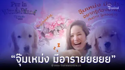 "จุ๊มเหม่ง มีอะไร" ใครอยากรู้ ห้ามพลาด ต้องมางาน Pet พาเพลิน Fair 2022