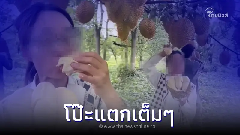 เกษตรกรสาว รีวิวสวนทุเรียน ออกลูกดกเต็มต้น ทำชาวเน็ตขัดตา ก่อนโป๊ะแตกเต็มๆ เกษตรกรสาว รีวิวสวนทุเรียน ออกลูกดกเต็มต้น ทำชาวเน็ตขัดตา ก่อนโป๊ะแตกเต็มๆ
