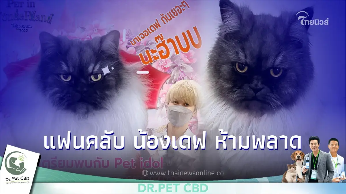 ทาสแมวห้ามพลาด พบกับ "น้องเดฟ" จากเพจ "ราหูอมแงว" ในงาน "Pet พาเพลิน Fair 2022" ทาสแมวห้ามพลาด พบกับ "น้องเดฟ" จากเพจ "ราหูอมแงว" ในงาน "Pet พาเพลิน Fair 2022"