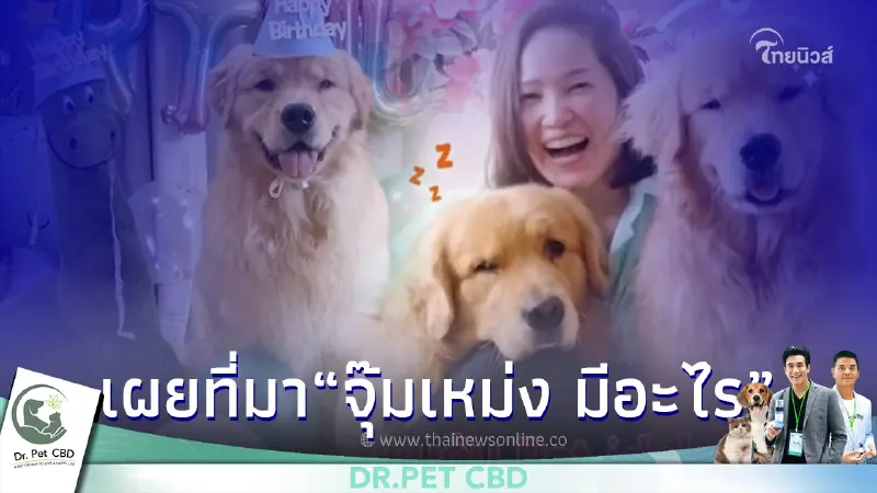 เผยที่มา ประโยคฮิต "จุ๊มเหม่ง มีอะไร" มาจากไหน พบกันในงาน Pet พาเพลิน Fair 2022 เผยที่มา ประโยคฮิต "จุ๊มเหม่ง มีอะไร" มาจากไหน พบกันในงาน Pet พาเพลิน Fair 2022
