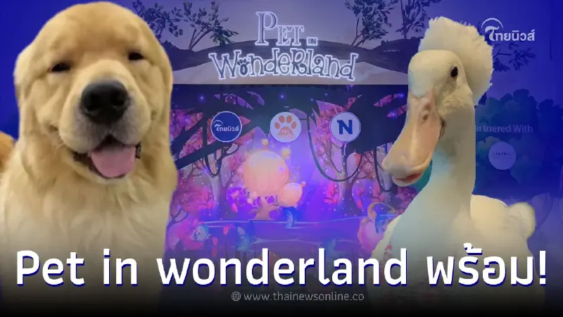 นับถอยหลัง งาน Pet พาเพลิน Fair 2022 คนรักสัตว์ห้ามพลาด Pet in wonderland นับถอยหลัง งาน Pet พาเพลิน Fair 2022 คนรักสัตว์ห้ามพลาด Pet in wonderland