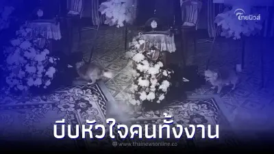 สุดเศร้า น้องหมามางานศพเจ้าของ แต่ปฏิกิริยาทำคนทั้งงานประหลาดใจ