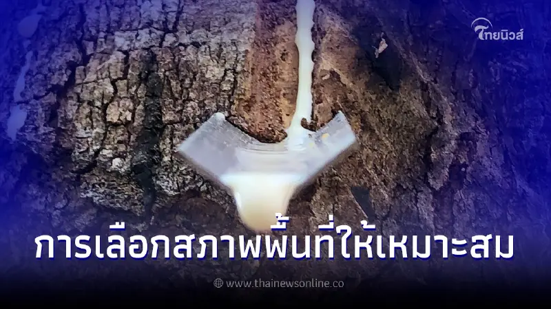 การเลือกสภาพพื้นที่ให้เหมาะสมสำหรับปลูกยางพารา ชนิดและคุณสมบัติของดิน