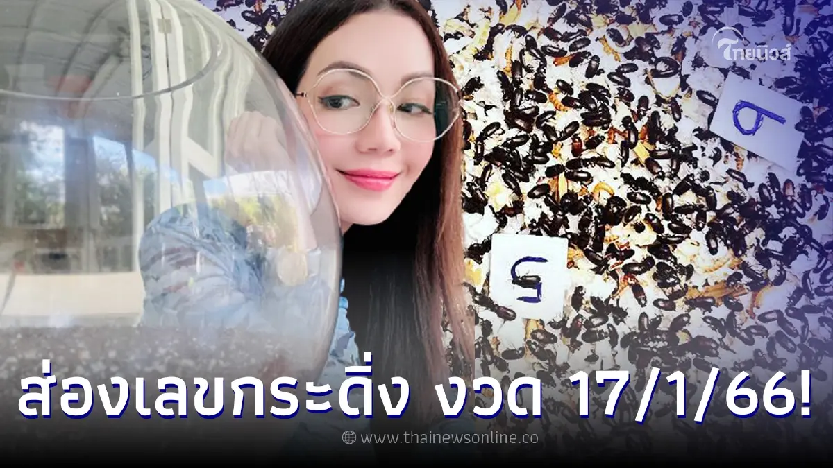 ส่องเลข กระดิ่งเงิน กระดิ่งทอง “อ๋อม สกาวใจ” งวด 17/01/66 มาชัดๆ ซื้อตามง่าย ส่องเลข กระดิ่งเงิน กระดิ่งทอง “อ๋อม สกาวใจ” งวด 17/01/66 มาชัดๆ ซื้อตามง่าย