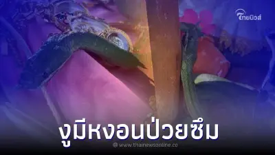 "งูเขียวตัวดังคำชะโนดป่วย" แอดมินดังเพจรับไปรักษา พร้อมเผยเลขศาลา 3 ตัวตรง "งูเขียวตัวดังคำชะโนดป่วย" แอดมินดังเพจรับไปรักษา พร้อมเผยเลขศาลา 3 ตัวตรง