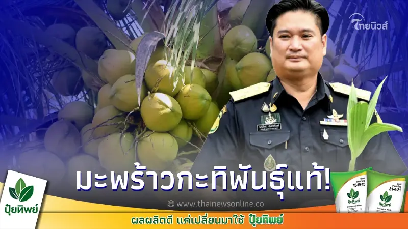 กรมวิชาการเกษตรเปิดตัวมะพร้าวกะทิน้ำหอมพันธุ์แท้ กรมวิชาการเกษตรเปิดตัวมะพร้าวกะทิน้ำหอมพันธุ์แท้