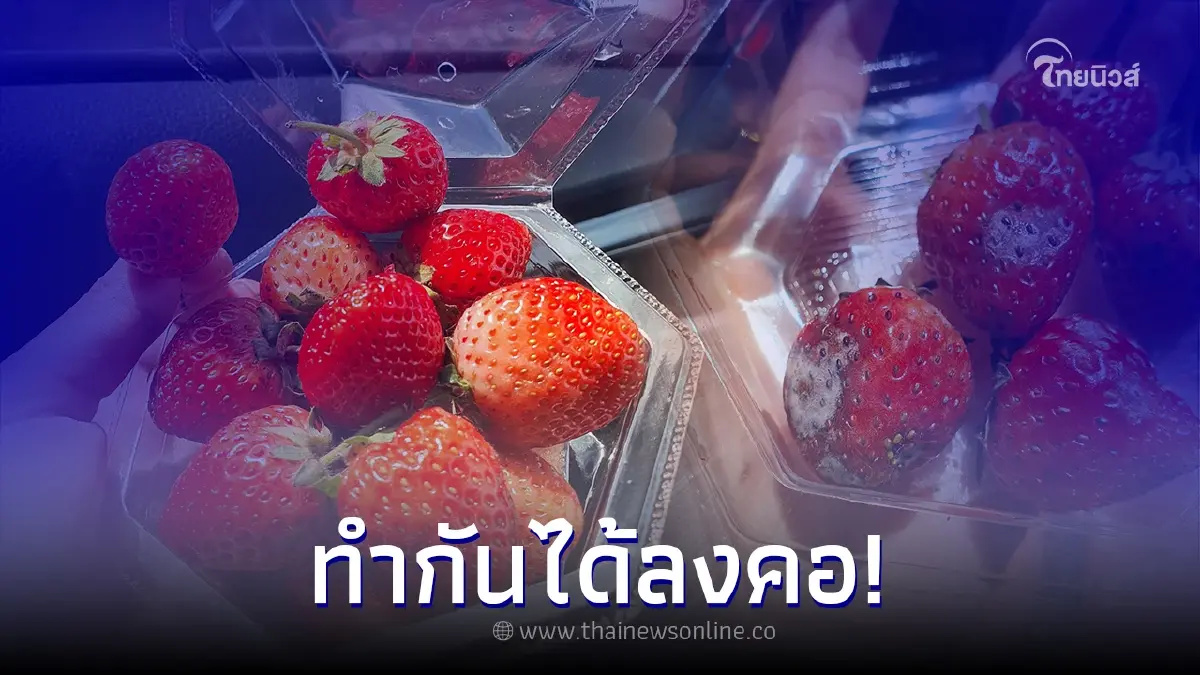 สาวหยิบสตรอว์เบอร์รีเข้าปาก หวังกินแบบฉ่ำๆ ก่อนหันมองที่เหลือ แทบอ้วก