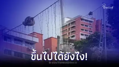 ชาวบ้านพบก้อนประหลาด เกาะแน่นบนสายไฟ ก่อนซูมดูใกล้ๆ ขนลุกซู่ขึ้นไปได้ไง ชาวบ้านพบก้อนประหลาด เกาะแน่นบนสายไฟ ก่อนซูมดูใกล้ๆ ขนลุกซู่ขึ้นไปได้ไง