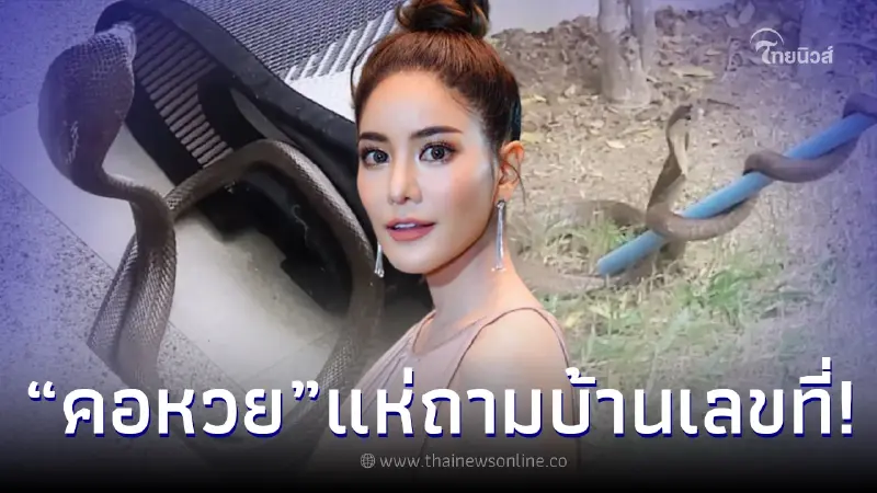 “ก้อย รัชวิน” กรี๊ดเสียงหลง หลังงูเห่าเข้าบ้าน คนแห่ถามบ้านเลขที่ เสี่ยงโชค “ก้อย รัชวิน” กรี๊ดเสียงหลง หลังงูเห่าเข้าบ้าน คนแห่ถามบ้านเลขที่ เสี่ยงโชค