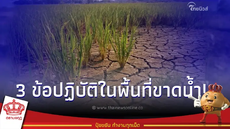 แนะ 3 ข้อปฏิบัติในการใช้น้ำอย่างประหยัดในนาข้าว