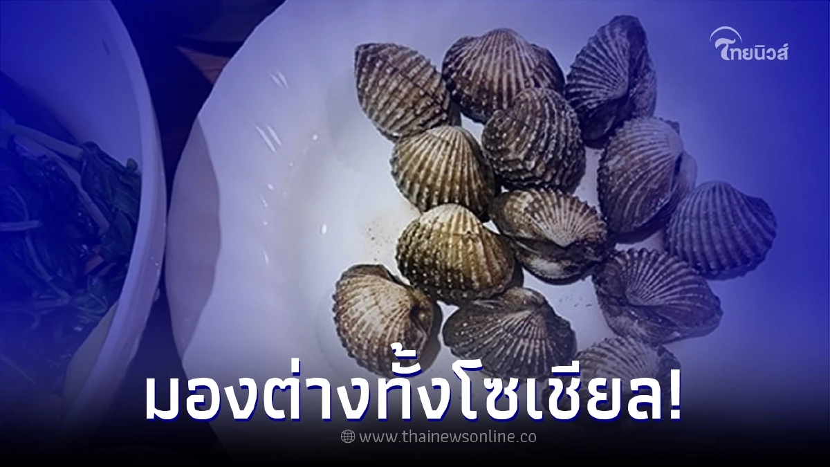 สาวซื้อหอยแครง 80 บ. เห็นปริมาณถึงเซ็ง แต่ชาวเน็ตกลับเห็นต่าง