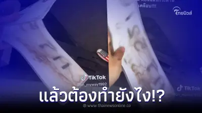 สาวสุดเซ็ง ซื้อรถมือสองจากเต็นท์ แต่เจอป้ายทะเบียนแบบนี้ แทบไปไม่ถูก สาวสุดเซ็ง ซื้อรถมือสองจากเต็นท์ แต่เจอป้ายทะเบียนแบบนี้ แทบไปไม่ถูก