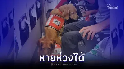 เปิดภาพ 2 สุนัข K9 กับภารกิจเดินทางช่วย "แผ่นดินไหวตุรกี" หลังหลายคนเป็นห่วง