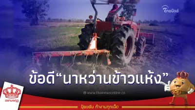 เผยขั้นตอนการทำ “นาหว่านข้าวแห้ง” ข้อดีและข้อควรระวัง เผยขั้นตอนการทำ “นาหว่านข้าวแห้ง” ข้อดีและข้อควรระวัง