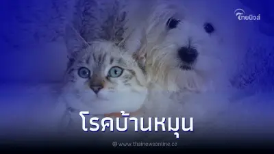รู้หรือไม่? น้องหมา น้องแมวเดินเซ เสียการทรงตัวอาจเป็นอาการของโรคบ้านหมุน รู้หรือไม่? น้องหมา น้องแมวเดินเซ เสียการทรงตัวอาจเป็นอาการของโรคบ้านหมุน
