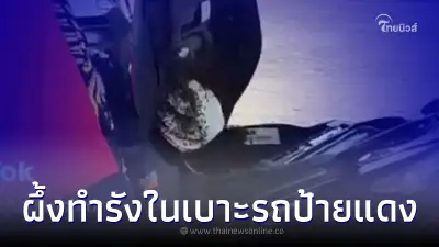 ฮือฮา "ผึ้งทำรังใต้เบาะรถจยย.ป้ายแดง" คอหวยแห่ตีเลขเด็ดเพียบ