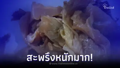 สาวสุดงง ลุกจากโต๊ะกินข้าวแป๊ปเดียว กลับมาเจอสิ่งแปลกปลอมโผล่ในจาน