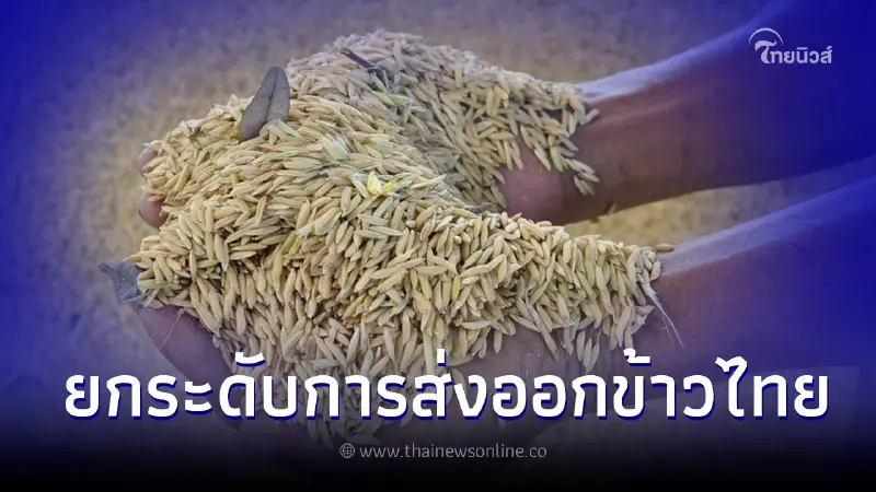 รู้จัก หน่วยตรวจสอบเอกลักษณ์พันธุกรรมข้าวหอมมะลิไทย องค์ความรู้ DNA Fingerprint รู้จัก หน่วยตรวจสอบเอกลักษณ์พันธุกรรมข้าวหอมมะลิไทย องค์ความรู้ DNA Fingerprint
