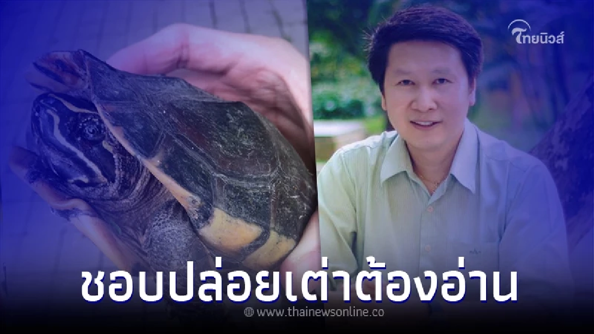 เพจดังเตือนสายบุญ ใครชอบปล่อยเต่า ควรศึกษาก่อน จากทำบุญจะกลายเป็นทำบาป เพจดังเตือนสายบุญ ใครชอบปล่อยเต่า ควรศึกษาก่อน จากทำบุญจะกลายเป็นทำบาป