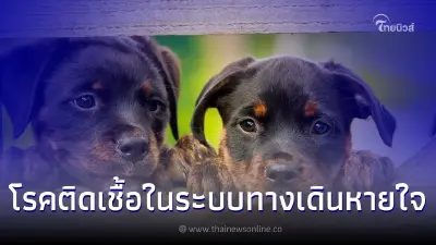 รู้หรือไม่? โรคติดเชื้อในระบบทางเดินหายใจ แค่หายใจใส่กันก็ติดได้แล้ว