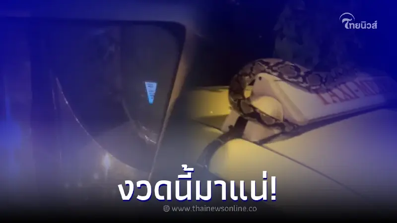 คนขับแท็กซี่ขนลุก เจองูตกใส่หลังคารถ คอหวยแห่ถามเลขทะเบียนรถ คนขับแท็กซี่ขนลุก เจองูตกใส่หลังคารถ คอหวยแห่ถามเลขทะเบียนรถ