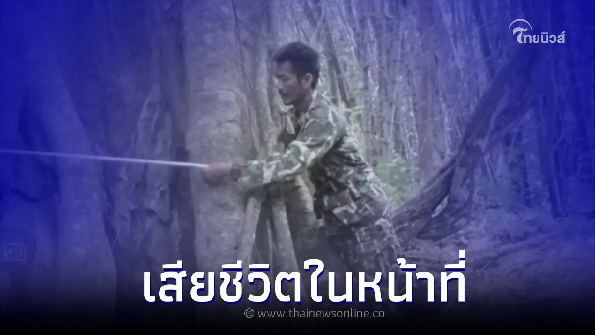 ขอแสดงความเสียใจ เจ้าหน้าที่ดับไฟป่า เสียชีวิตหลังปฏิบัติหน้าที่ ขอแสดงความเสียใจ เจ้าหน้าที่ดับไฟป่า เสียชีวิตหลังปฏิบัติหน้าที่