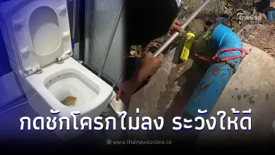 เจ้าของบ้านงงกดชักโครกไม่ลง ตกใจเจอหัวงูเหลือมโผล่ เลื้อยไม่ขึ้น ถอยก็ติด