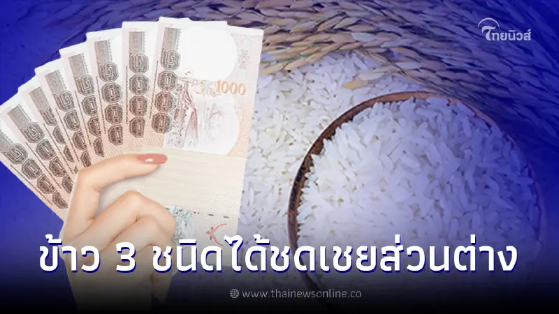 ประกันรายได้ข้าว งวดที่ 21 ข้าว 3 ชนิดได้รับชดเชยส่วนต่าง เช็กเงินเข้าวันไหน ประกันรายได้ข้าว งวดที่ 21 ข้าว 3 ชนิดได้รับชดเชยส่วนต่าง เช็กเงินเข้าวันไหน