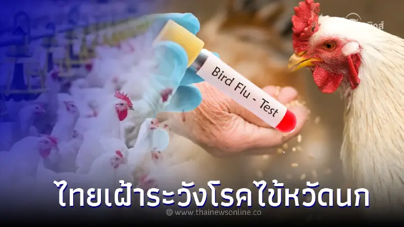 ไทยเฝ้าระวังโรคไข้หวัดนก H5N1 หลังพบผู้ป่วยติดเชื้อในประเทศเพื่อนบ้าน ไทยเฝ้าระวังโรคไข้หวัดนก H5N1 หลังพบผู้ป่วยติดเชื้อในประเทศเพื่อนบ้าน