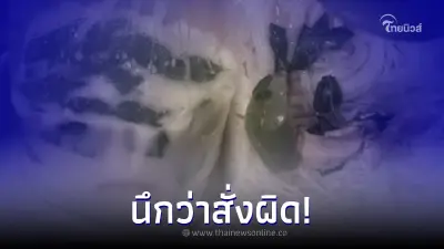 ลูกค้างงนึกว่าตัวเองสั่งผิด หลังสั่งแกงเขียวหวาน แต่ได้น้ำสีขาว