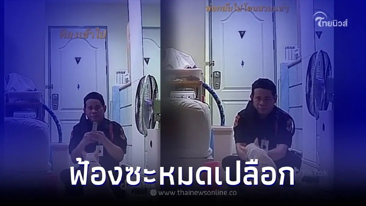 หนุ่มเหงื่อตก "ฝากรปภ.เลี้ยงแมว" เปิดกล้องดูงานเข้า กลับห้องไปโดนสวบแน่ๆ