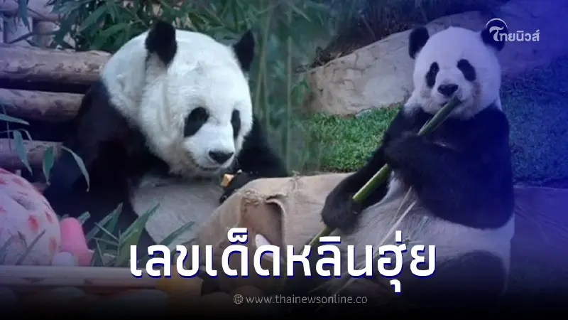 เปิดเลขเด็ดหลินฮุ่ย แพนด้าเชียงใหม่ ลุ้นโชครวยงวดนี้2/5/66 เปิดเลขเด็ดหลินฮุ่ย แพนด้าเชียงใหม่ ลุ้นโชครวยงวดนี้2/5/66