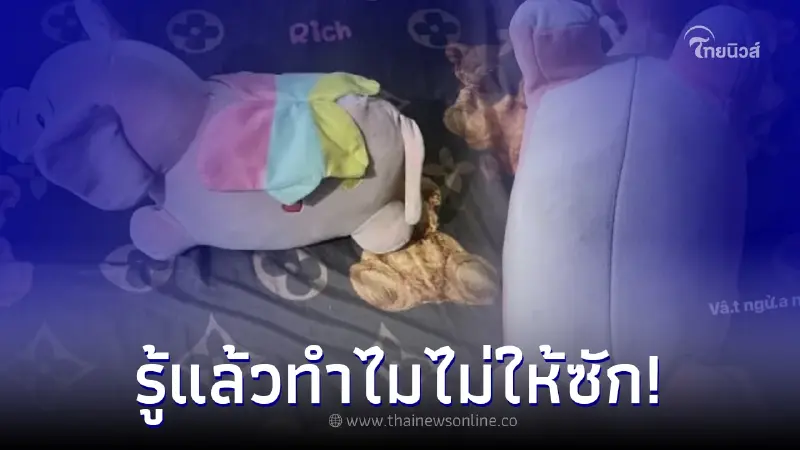 เมียแปลกใจ ผัวติดตุ๊กตาเน่ามาก ถึงขั้นไม่ยอมซัก สุดท้ายโป๊ะแตกเต็มๆ เมียแปลกใจ ผัวติดตุ๊กตาเน่ามาก ถึงขั้นไม่ยอมซัก สุดท้ายโป๊ะแตกเต็มๆ