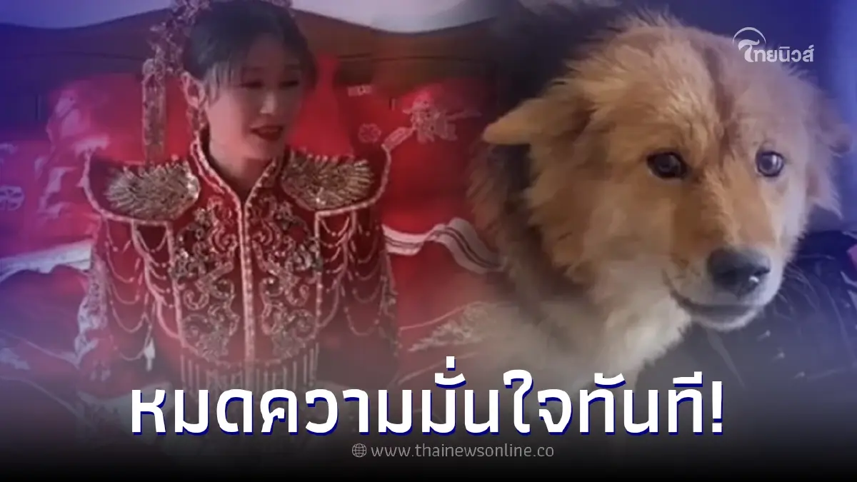 เจ้าสาวมั่น แต่งหน้าแต่งตัวจัดเต็ม กลับมาเจอหมาที่บ้าน หมดความมั่นใจทันที