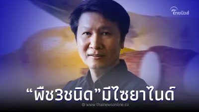 "อาจารย์เจษฎ์" เตือน พืช 3 ชนิด มีสารพิษไซยาไนด์ กินดิบ อันตรายถึงชีวิต