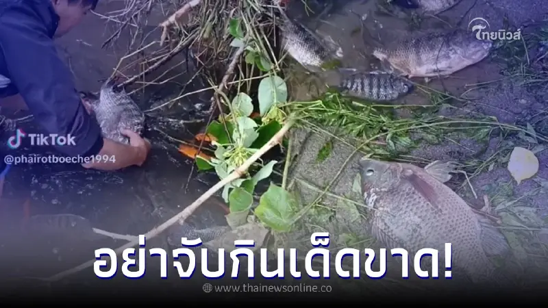 เตือนภัย คนไทยอย่ากินปลานิลในแม่น้ำประเทศไต้หวันเด็ดขาด อันตราย เตือนภัย คนไทยอย่ากินปลานิลในแม่น้ำประเทศไต้หวันเด็ดขาด อันตราย