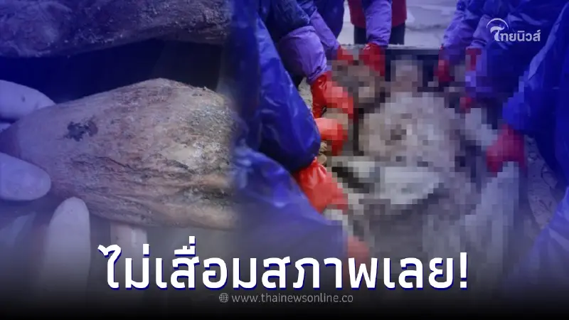 เปิดภาพมัมมี่หญิงสูงศักดิ์ อายุ 700 ปี เห็นแล้วทึ่งมาก สภาพสมบูรณ์แบบสุดๆ เปิดภาพมัมมี่หญิงสูงศักดิ์ อายุ 700 ปี เห็นแล้วทึ่งมาก สภาพสมบูรณ์แบบสุดๆ