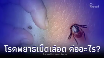 ภัยใกล้ตัว พยาธิเม็ดเลือด โรคไข้เห็บ และวิธีดูแลรักษา
