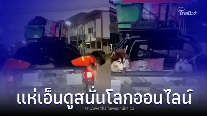 โซเชียลแห่แชร์ คลิปไซบีเรียนนั่งท้ายกระบะ ยิ่งเห็นป้ายท้ายรถยิ่งเอ็นดู โซเชียลแห่แชร์ คลิปไซบีเรียนนั่งท้ายกระบะ ยิ่งเห็นป้ายท้ายรถยิ่งเอ็นดู