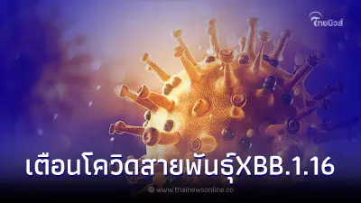 จับตา โควิดสายพันธุ์ใหม่ "โอมิครอน XBB.1.16" พบไทยป่วยแล้ว 6 ราย จับตา โควิดสายพันธุ์ใหม่ "โอมิครอน XBB.1.16" พบไทยป่วยแล้ว 6 ราย