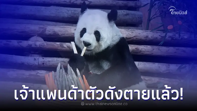 "หลินฮุ่ย" แพนด้าชื่อดัง แห่งสวนสัตว์เชียงใหม่ เสียชีวิตแล้ว "หลินฮุ่ย" แพนด้าชื่อดัง แห่งสวนสัตว์เชียงใหม่ เสียชีวิตแล้ว