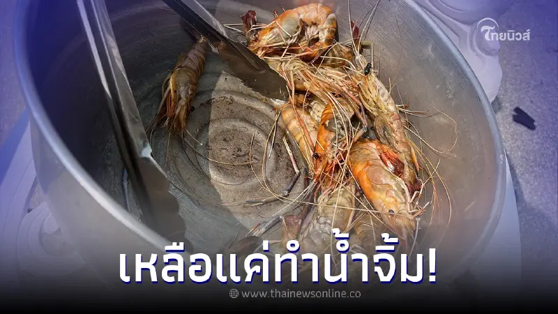 หนุ่มอึ้ง ลืมกุ้งสดไว้นอกบ้าน กลับมาดูอีกที เจอดีเต็มๆ เหลือแค่ทำน้ำจิ้ม หนุ่มอึ้ง ลืมกุ้งสดไว้นอกบ้าน กลับมาดูอีกที เจอดีเต็มๆ เหลือแค่ทำน้ำจิ้ม