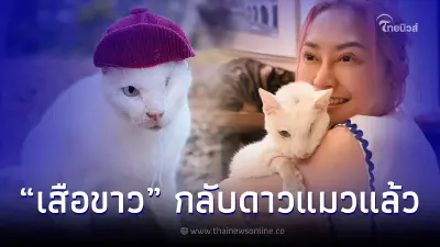 เศร้า "เพจทูนหัวของบ่าว" สูญเสีย "เสือขาว" น้องแมวแสนรักที่อยู่ด้วยกัน 9 ปี