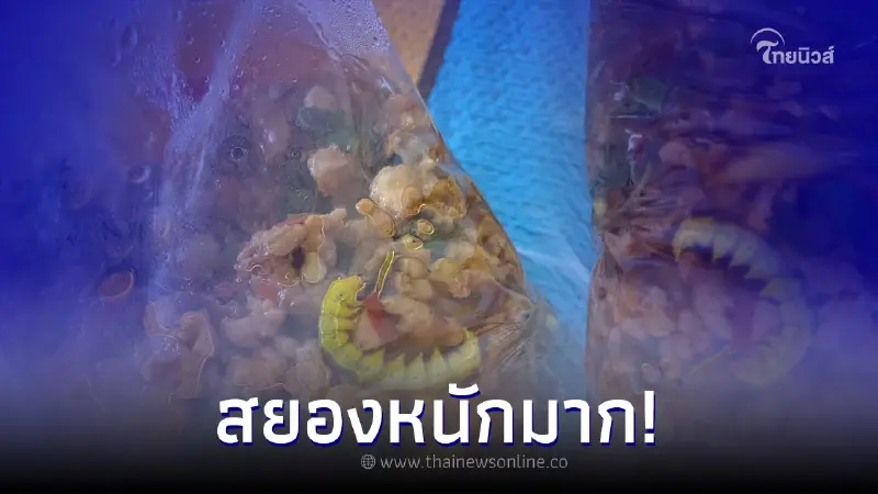 ขนลุก "ลูกค้าสั่งผัดกะเพราหมูสับ" พลิกถุงมาสยองหนัก จะกินต่อ หรือ พอแค่นี้ ขนลุก "ลูกค้าสั่งผัดกะเพราหมูสับ" พลิกถุงมาสยองหนัก จะกินต่อ หรือ พอแค่นี้