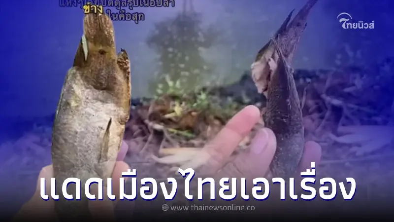 สุดพีค ปลาเป็นๆหล่นกลางแดด สาวมาเจออีกทีตกใจ แดดเมืองไทยมันโหดจริง