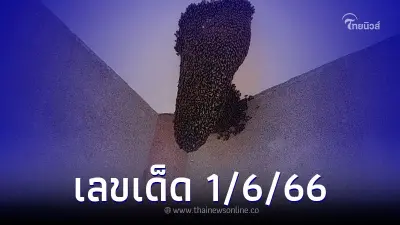 เลขเด็ดผึ้งหลวง ชาวบ้านฮือฮา ผึ้งหลวงบินทำรัง
