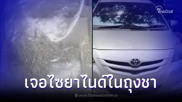 พบไซยาไนด์ ใส่ถุงชาอยู่ในรถ "แอม" ปริมาณ 15 mg ทำให้ตายได้ภายใน 6-10 นาที