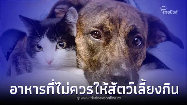 อาหาร-เครื่องดื่ม 12 ชนิดไม่ควรให้สัตว์เลี้ยงกิน